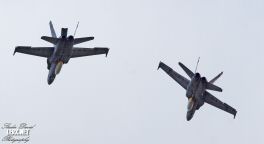FA-18 Espagnol 0003  LERX NET.jpg